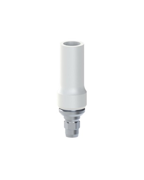 Co-Cr Base with castable compatible with Dentsply...