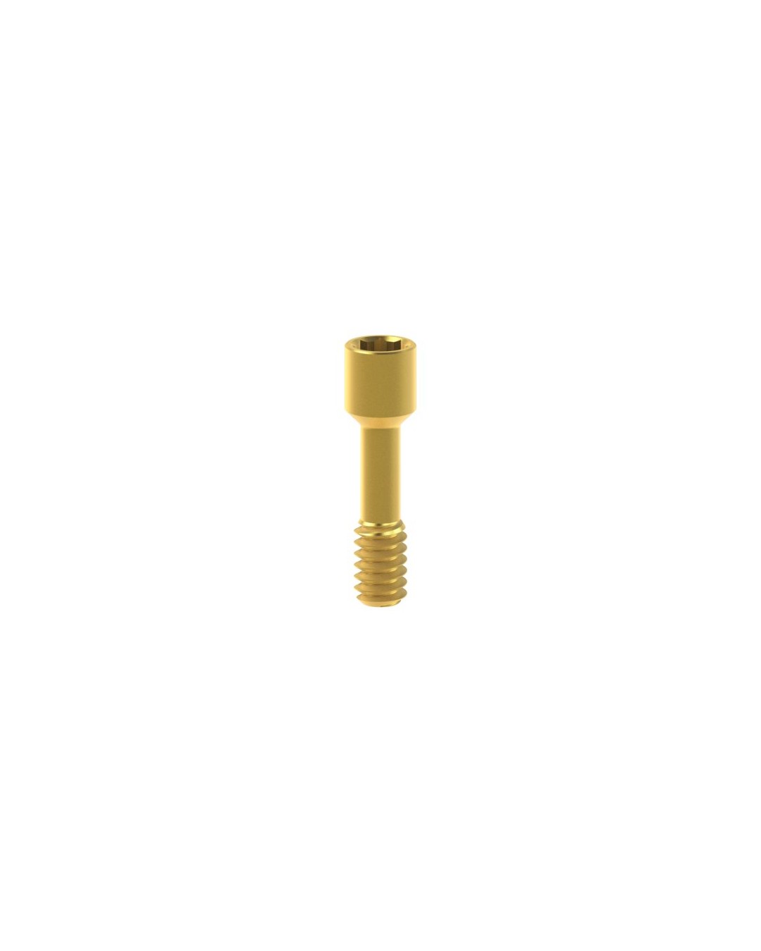 Screws compatible with Klockner® Vega®