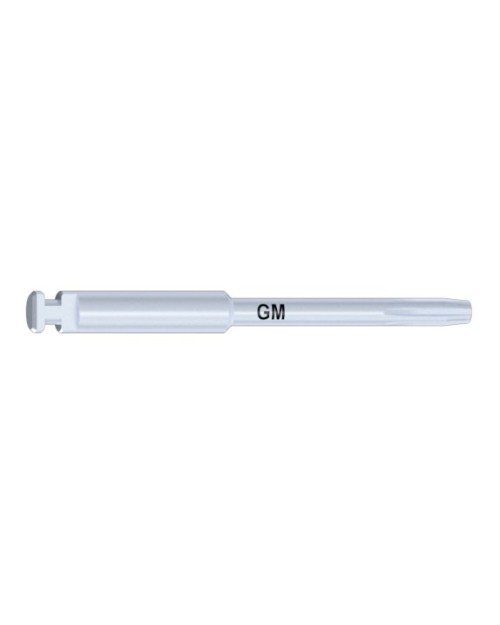 NEO GM tip compatible with Tools Screwtip