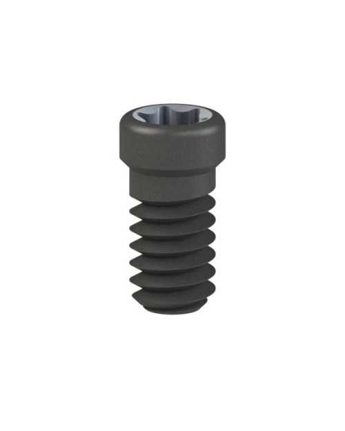 Screws compatible with Zimmer® SwissPlus®