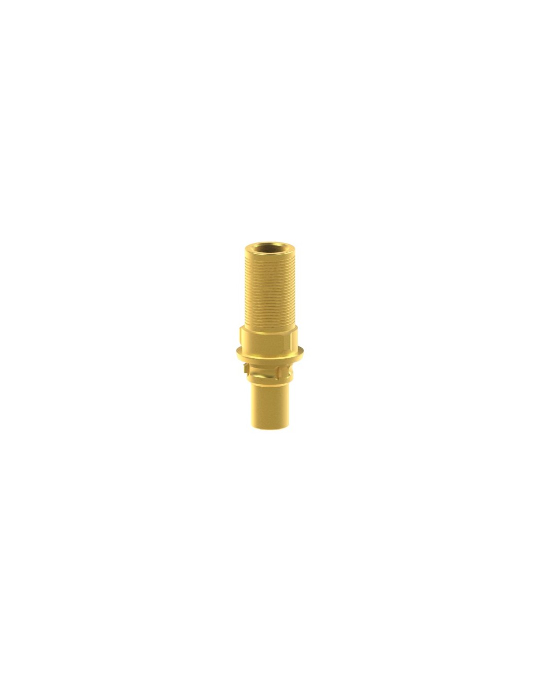 Custom Ti-Base compatible with Camlog® Camlog® System