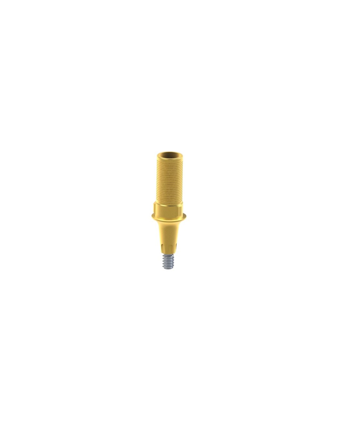 Custom Ti-Base Compatible con Dentsply® Ankylos®