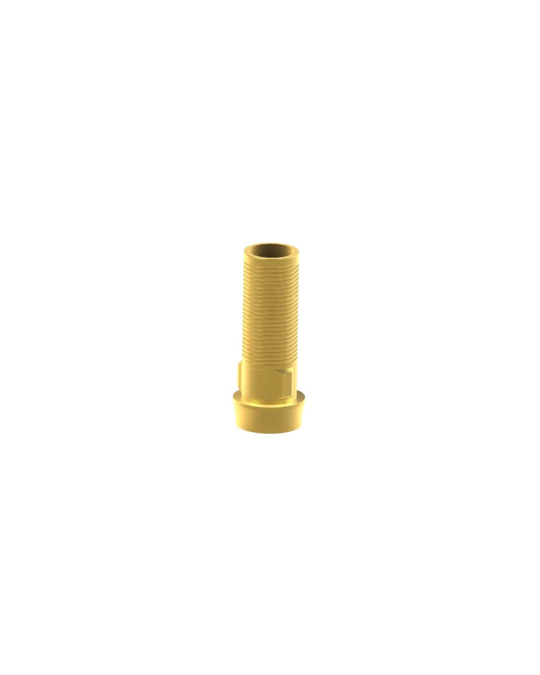 Custom Ti-Base Compatible con BTI® Externa