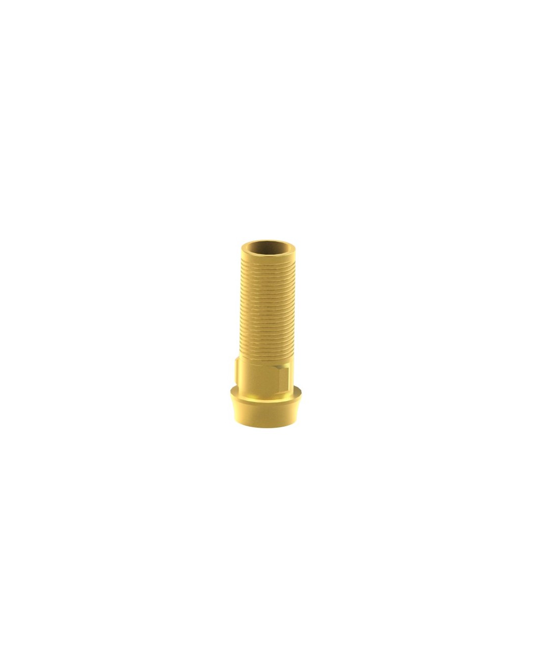 Custom Ti-Base Compatible con Phibo® TSH®