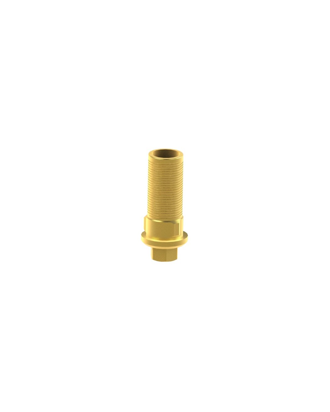 Custom Ti-Base compatible with BioHorizons® Tapered Internal®