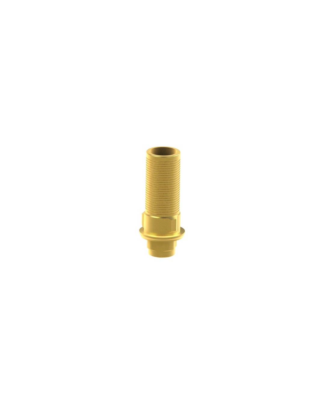 Custom Ti-Base Compatible con BTI® Interna