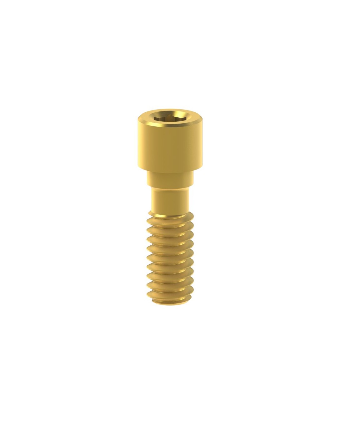 Titanium Screw Compatible con BTI® Interna