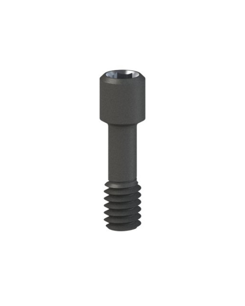 Titanium Screw compatible with MIS® C1/V3®